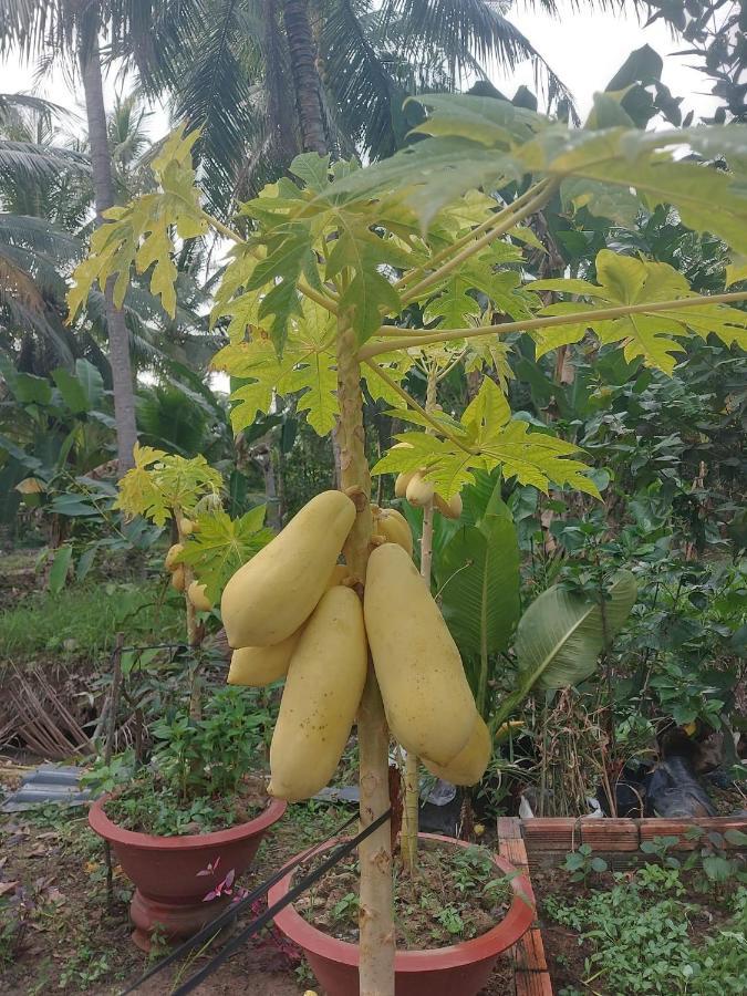 Nam Ham Luong Homestay