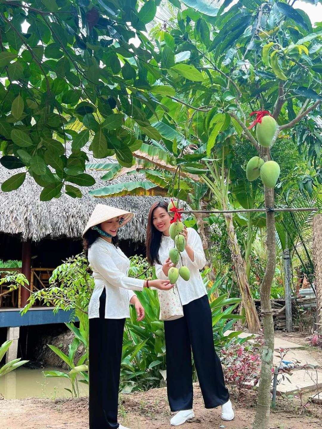 Nam Ham Luong Ben Tre
